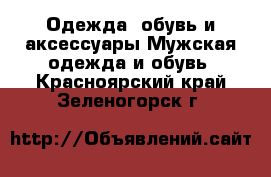 Одежда, обувь и аксессуары Мужская одежда и обувь. Красноярский край,Зеленогорск г.